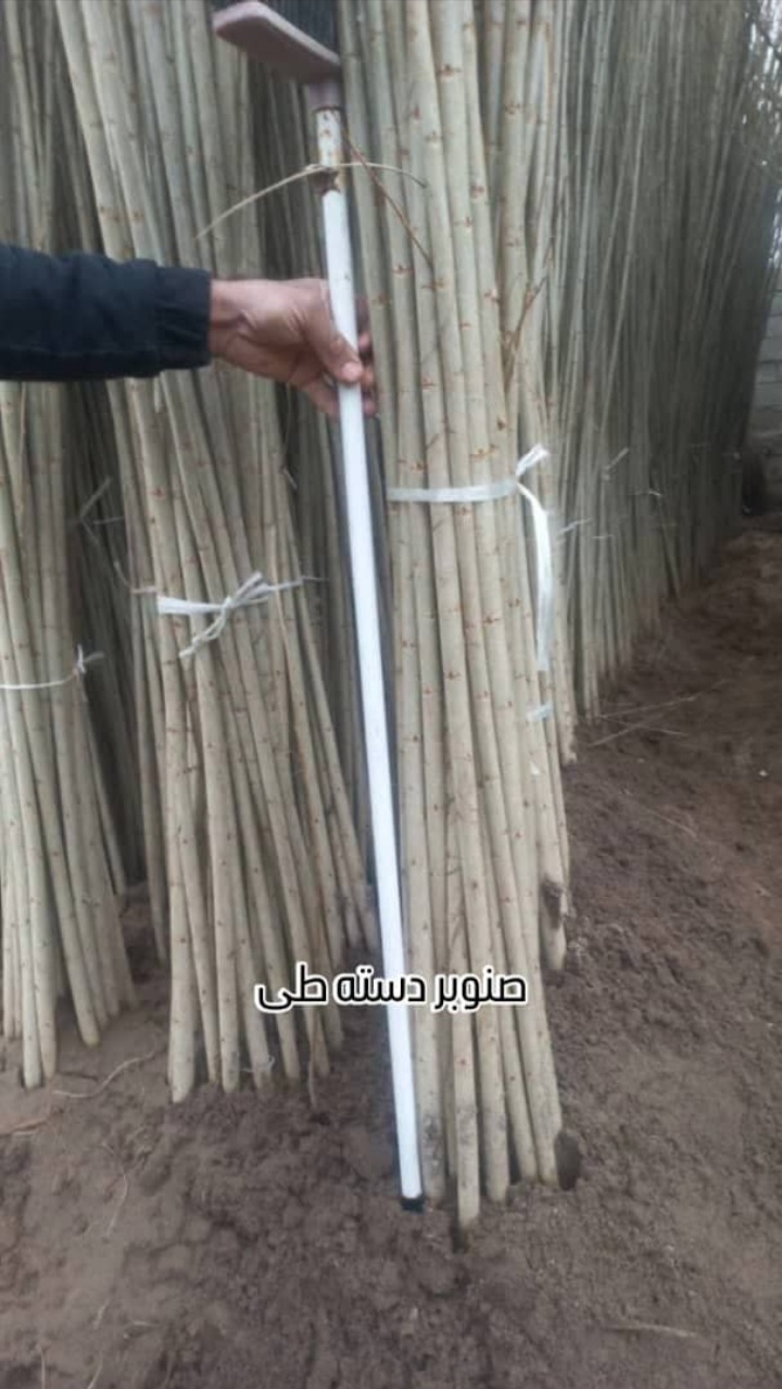 طراحی و مشاوره احداث باغات میوه