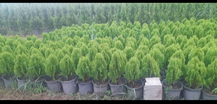 پیشگام در توسعه باغداری مدرن در اردبیل